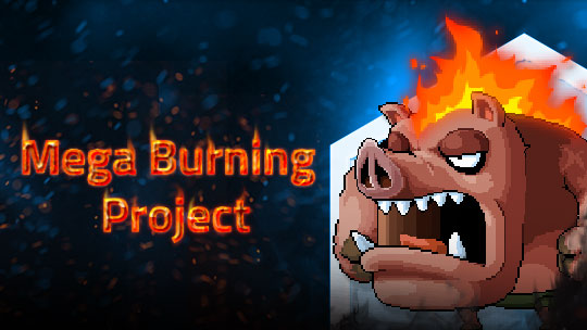 MS Mega Burning Project