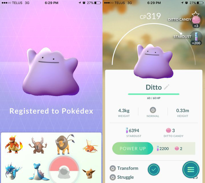 Pokemon Go Ditto